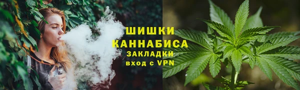 ешки Вяземский